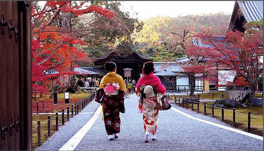 Kyoto Mimawarigumi (京都見廻組,): Protecting the Streets of Old Kyoto