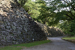 Japanese Castle
