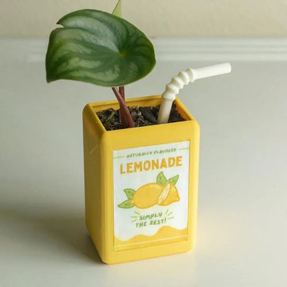 Milk Carton Kawaii Plant Pot