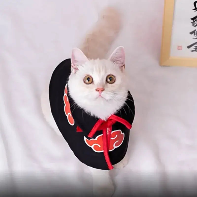 Akatsuki Symbol Cat Cloak