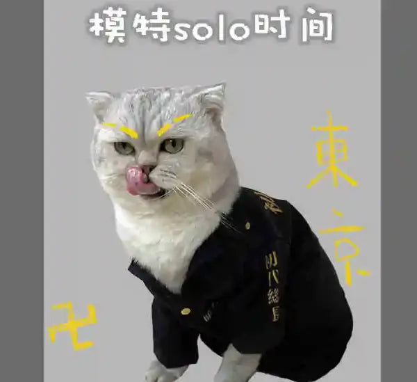 Tokyo Revengers Cat Cosplay